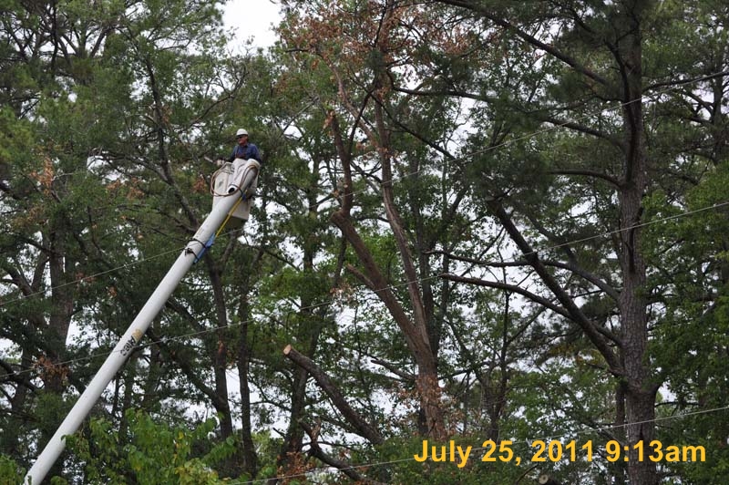 Entergy 047